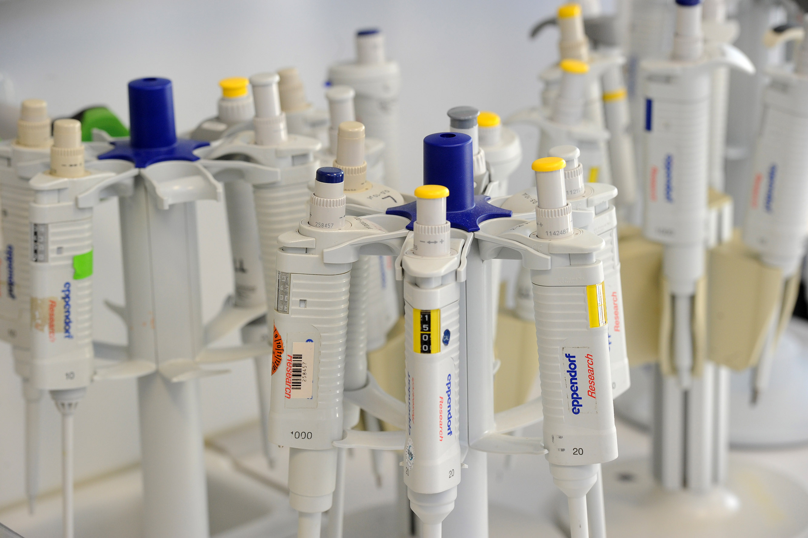 Pipetten.jpg