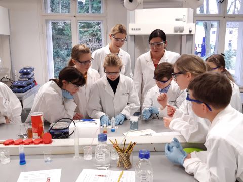 newsscheeres202020212