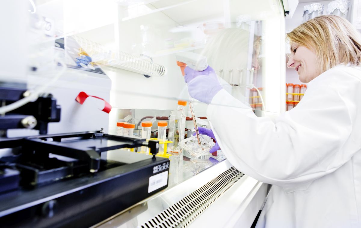 foto fuer paragraf 28