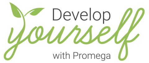 Developyourself-480